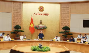 Triển khai xây dựng một số đề án của Chính phủ trình Quốc hội