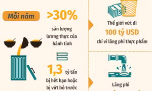 Thế giới vứt đi 100 tỷ USD mỗi năm chỉ vì lãng phí thực phẩm