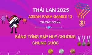 ASEAN Para Games 13: Đoàn Việt Nam hoàn thành mục tiêu Top 5