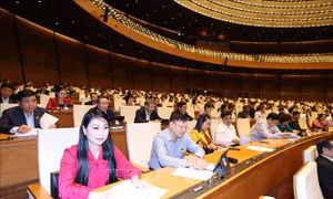 Bảo đảm tính thống nhất của hệ thống pháp luật về phòng, chống ma túy