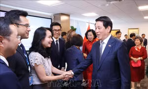Chủ tịch nước gặp mặt cán bộ các cơ quan đại diện Việt Nam và cộng đồng tại Hoa Kỳ