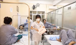 Hà Nội: 239 ổ dịch sốt xuất huyết vẫn đang hoạt động