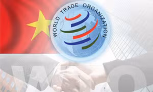 Việt Nam tham gia cơ chế giải quyết tranh chấp của WTO