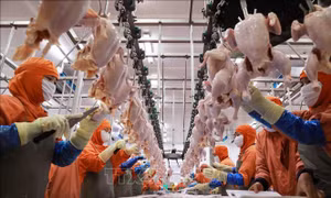 Không tạo thêm gánh nặng chi phí cho doanh nghiệp