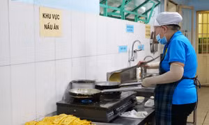 Không để thực phẩm bẩn vào bếp ăn trường học