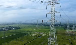 Dồn lực để hoàn thành dự án đường dây 500kV mạch 3