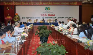 Đội Thiếu niên Tiền phong Hồ Chí Minh - 80 mùa hoa lớn lên cùng đất nước