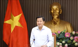 Thành lập 2 Hội đồng điều phối vùng đồng bằng sông Cửu Long và trung du, miền núi phía Bắc