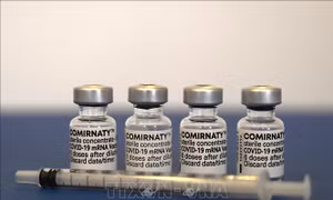 Bộ Y tế phê duyệt vaccine COVID-19 của Pfizer/BioNTech 