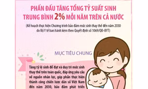Phấn đấu tăng tổng tỷ suất sinh trung bình 2% mỗi năm trên cả nước