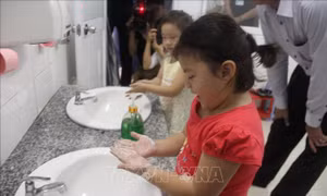Bệnh tay chân miệng có dấu hiệu gia tăng tại các tỉnh phía Nam
