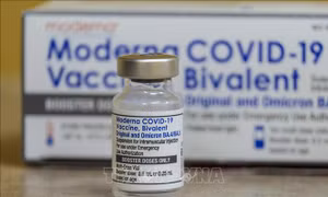 COVID-19: Vaccine cải tiến của Moderna, Pfizer có hiệu quả cao trong ngừa biến thể BA.2.86