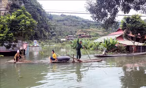 Khu vực Tây Bắc, Việt Bắc có mưa to và dông