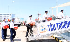 12 tỉnh, thành phố thực hiện bầu cử sớm
