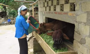 Đòn bẩy giúp đồng bào vùng biên thoát nghèo - Bài cuối: Tăng đầu tư cho cộng đồng