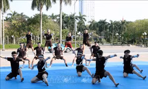Festival Võ thuật tỉnh Hà Nam mở rộng năm 2024