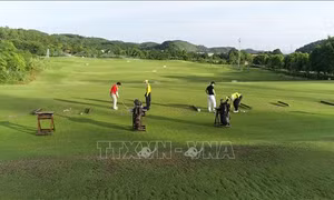 Kêu gọi bình chọn cho Việt Nam tại Giải thưởng Golf thế giới 2024
