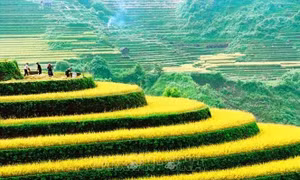 Phát động Cuộc thi ảnh Nghệ thuật Quốc tế lần thứ 11 tại Việt Nam