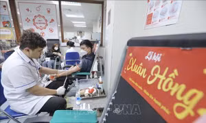 Khai mạc lễ hội hiến máu lớn nhất dịp đầu Xuân
