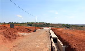 Doanh nghiệp lao đao vì giá cát tăng mạnh, nguồn cung khan hiếm