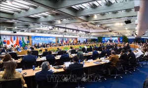 Hội nghị thượng đỉnh G20 ra tuyên bố chung giữa bối cảnh địa chính trị phân hóa