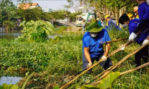 Tuổi trẻ Thành phố Hồ Chí Minh bảo vệ môi trường, lan tỏa lối sống xanh
