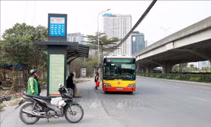 Hà Nội triển khai đánh giá tổng thể mạng lưới xe buýt