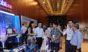 Những lĩnh vực nào cần ưu tiên chuyển đổi số tại Việt Nam?