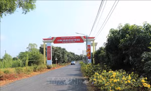 Phân bổ vốn ngân sách tại địa phương để xây dựng nông thôn mới và giảm nghèo bền vững