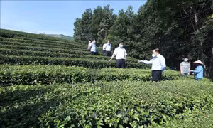 Xứ Lạng khát vọng thay đổi diện mạo nông thôn