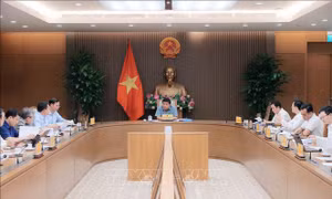 Thống nhất hệ thống dữ liệu trong đánh giá tiến độ thực hiện nhiệm vụ Nghị quyết 57 và Nghị quyết 71
