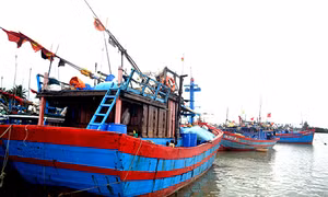  Ngư dân Quảng Nam hối hả vươn khơi dịp cuối năm