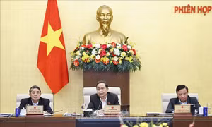 Dự kiến tổng số đại biểu Quốc hội khóa XVI là 500 người 