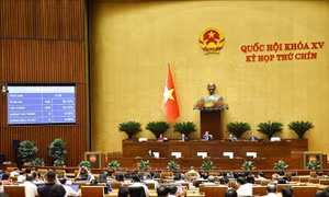Kỳ họp thứ 9, Quốc hội khóa XV: Thông qua Luật Tham gia lực lượng gìn giữ hòa bình của Liên hợp quốc