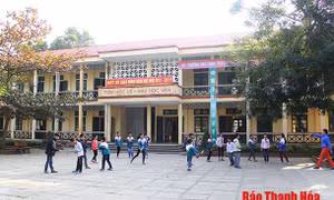 Thanh Hóa khảo sát đánh giá năng lực giáo viên tiếng Anh