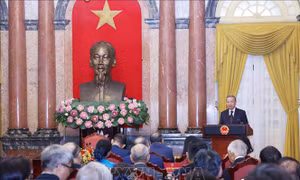 Mở rộng không gian cống hiến cho cộng đồng người Việt Nam ở nước ngoài