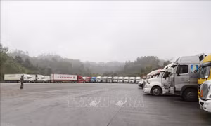 Lạng Sơn dừng tiếp nhận phương tiện chở hàng hóa vào bãi phi thuế quan
