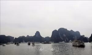 Bổ sung thu phí các hành trình tham quan trên vịnh Hạ Long