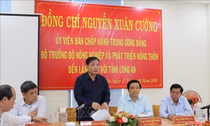 Thúc đẩy xuất khẩu, phối hợp xúc tiến tiêu thụ trong nước để gỡ khó cho nông sản