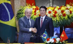 Tuyên bố chung Việt Nam - Brazil nhân chuyến thăm cấp Nhà nước đến Việt Nam của Tổng thống Brazil