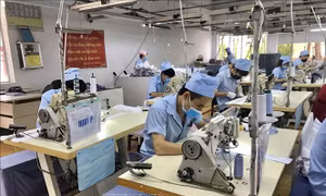 Có nên đưa tiền thưởng Tết vào quy định của Luật Lao động sửa đổi?