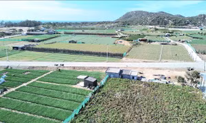 Người dân vùng dự án điện hạt nhân sẵn sàng đến nơi ở mới, mong sớm ổn định cuộc sống