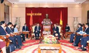 Đẩy mạnh hợp tác giữa Đà Nẵng và Quảng Tây (Trung Quốc)