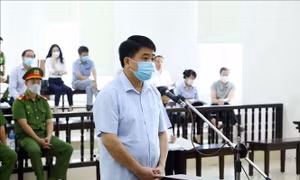 Kết luận điều tra bổ sung vụ án nâng khống giá cây xanh ở Hà Nội