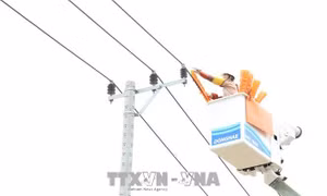 Triển khai sửa chữa điện hotline trên lưới 22kV