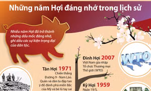 Những năm Hợi đáng nhớ trong lịch sử