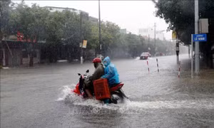 Các tỉnh, thành phố từ Thanh Hóa đến Quảng Ngãi chủ động ứng phó với mưa lớn