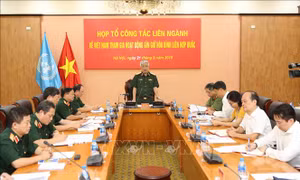 VIệt Nam sẽ cử cấp đơn vị tham gia nhiệm vụ gìn giữ hòa bình Liên hợp quốc