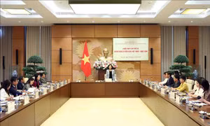Tích cực triển khai hoạt động Nhóm Nghị sĩ hữu nghị Việt - Nhật