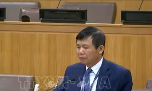 Việt Nam khẳng định ASEAN ủng hộ các nỗ lực quốc tế về chống phổ biến và giải trừ quân bị các loại vũ khí hủy diệt